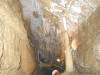 Crystal Lake Cave, Dubuque, IA - PETRIFIED FOREST