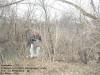 "Syracuse" Syracuse Wildlife Management Area, East of Wheatland, IA - 22 March 2009