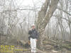 "The Shelf Tree" Bruggeman Park, North East of Dunkerton, IA - 28 March 2009