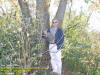 "Ten Fork Tree" Russell Wildlife Conservation Area, IA - 27 October 2007